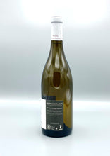 Afbeelding in Gallery-weergave laden, Wit | Bourgogne Aligoté 2023 | Claude Nouveau | Bourgogne - Frankrijk | 9- Hamersma